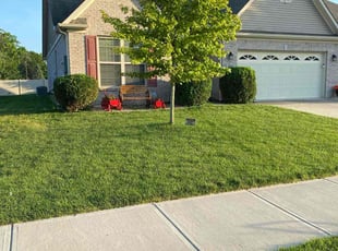 Ariel F.'s Bush Trimming service result