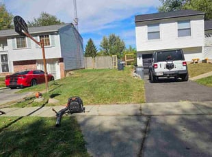 Laquista W.'s lawn care services service result