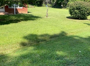 Frantz J.'s grass cutting service result