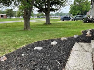 Lavon P.'s turf maintenance service result