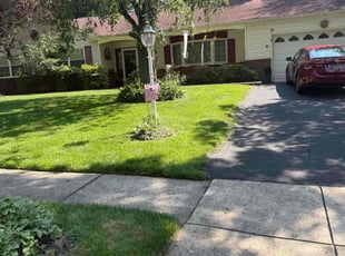 Michele C.'s lawn maintenance service result