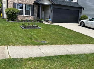 Thomas H.'s grass maintenance service result