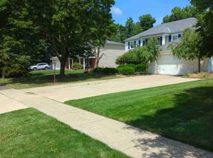 Cole S.'s turf care service result