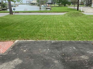 Dora S.'s turf care service result