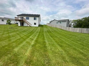 Steve D.'s turf maintenance service result