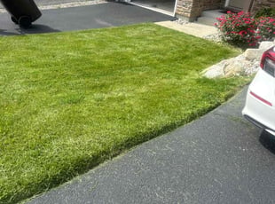 Jennifer S.'s lawn maintenance service result