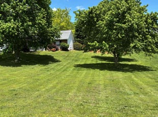 Alex S.'s lawn service service result
