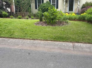 Dorena B.'s lawn service service result