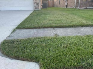 Melisa E.'s lawn care services service result