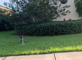 John P.'s Bush Trimming service result