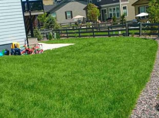 Gregg H.'s lawn care service result