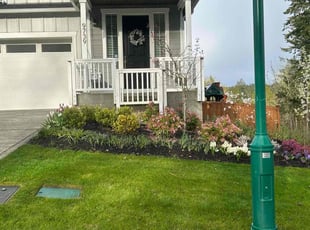 Jr S.'s grass cutting service result