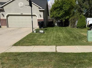 Rick S.'s turf care service result