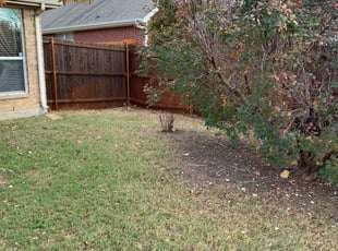 Brian L.'s Bush Trimming service result