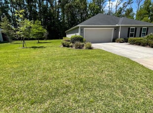Karl B.'s turf maintenance service result