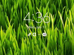 Francois B.'s turf care service result