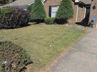 Marlin W.'s lawn care service result