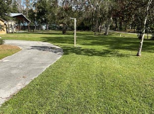 Erin C.'s lawn care service result