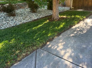 Becky M.'s grass cutting service result