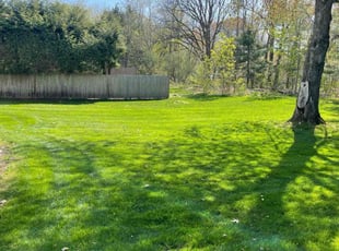 Barbara S.'s lawn maintenance service result