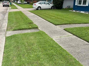 Luther K.'s grass maintenance service result