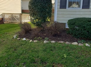 Ryan A.'s Bush Trimming service result