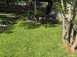 Santiago H.'s grass cutting service result