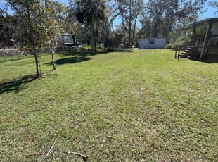 Carisa S.'s grass maintenance service result
