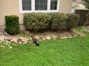 Candace L.'s Bush Trimming service result
