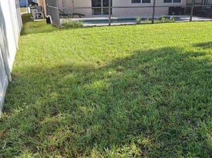 Therin S.'s lawn care services service result