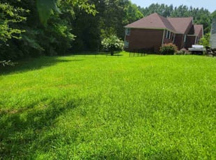 Doreen R.'s lawn care service result