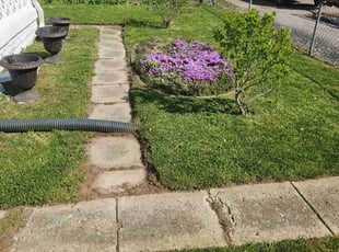 Adelaide A.'s turf care service result