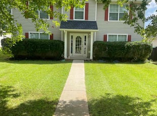 Damary T.'s Bush Trimming service result