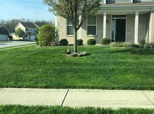 Marlyce W.'s lawn service service result