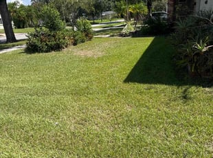 Dan W.'s grass maintenance service result