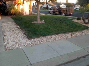 Adreyan C.'s turf care service result