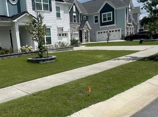Jasmine S.'s lawn maintenance service result