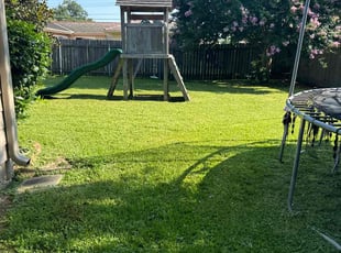 Benjamin G.'s lawn care service result