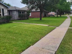 Valencia H.'s lawn care service result