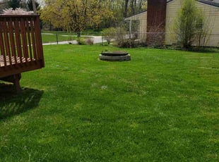 Lisa N.'s lawn care service result