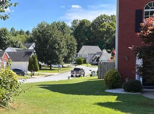 Loie C.'s lawn maintenance service result