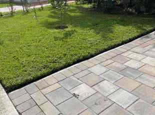 "Jeff G.'s turf care service result