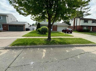 Marc M.'s lawn care services service result