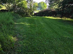 Rockie I.'s lawn care service result