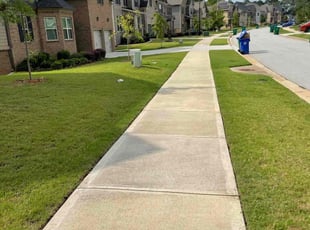 Courtney M.'s turf care service result