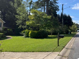 Michael S.'s lawn service service result