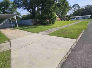Troy A.'s lawn care service result