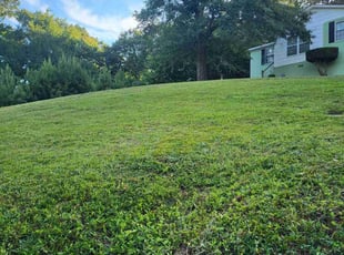 Adrian B.'s grass cutting service result