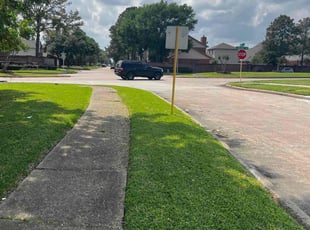 Manuel A.'s turf care service result