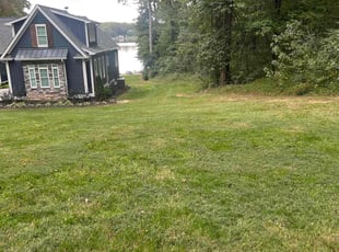 Colleen Q.'s lawn service service result